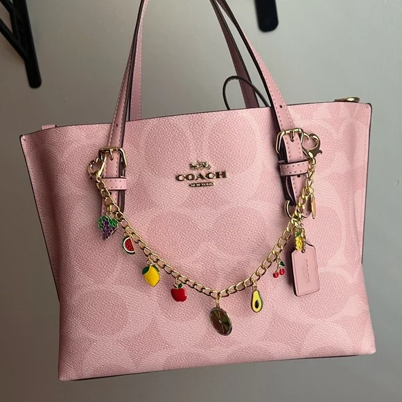 Fruit Purse Charm ๐๐๐๐๐๐๐ฅ - Picture 1 of 2